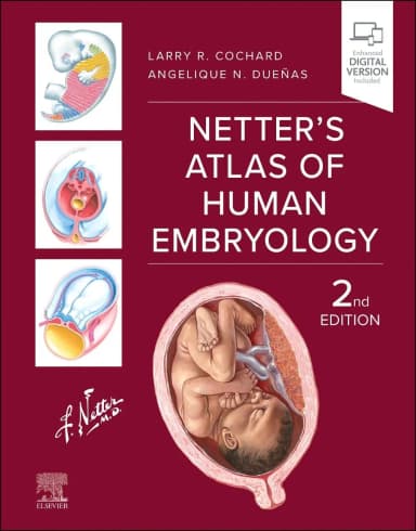 Image of - Netter's Atlas of Human Embryology - 2E