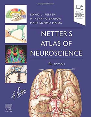 Image of - Netter's Atlas of Neuroscience -4ED