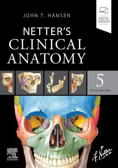 Image of - Netters Clinical Anatomy - 5E