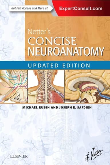 Image of - Netter's Concise Neuroanatomy -18E