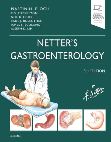 Image of - Netter's Gastroenterology-3E