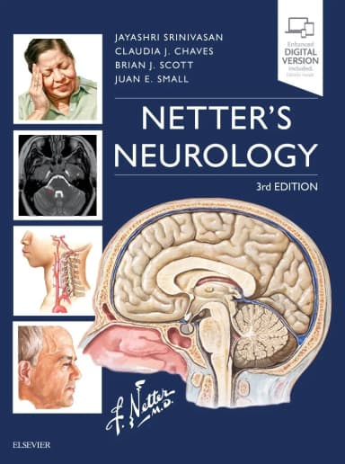Image of - Netter's Neurology-3E