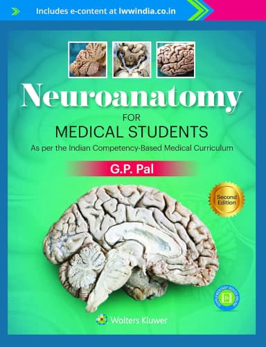 Image of - Neuroanatomy for Medical Student -2E