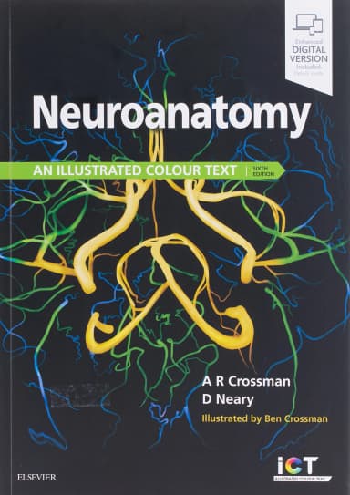 Image of - Neuroanatomy: an Illustrated Colour Text - 6th Edition