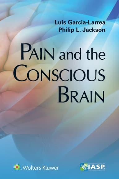 Image of - Pain and the Conscious Brain - 1st Edition