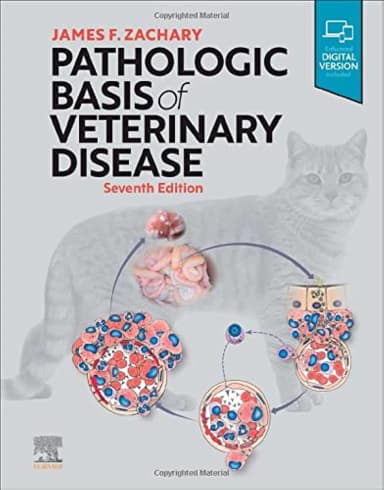 Image of - Pathologic Basis of Veterinary Disease - 7E