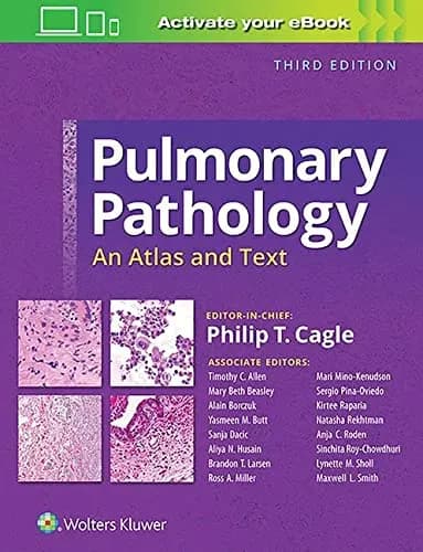 Image of - Pulmonary Pathology | An Atlas and Text | 3rd Edition