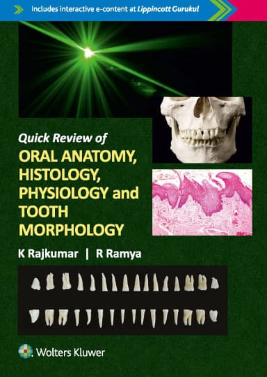 Image of - Quick Review of Oral Anatomy, Histology, Physiology and Tooth Morphology - 1E