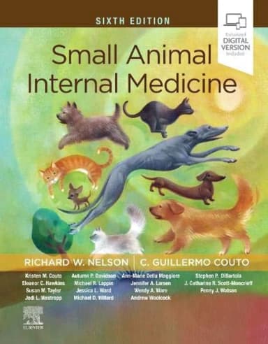 Image of - Small Animal Internal Medicine - 6ED