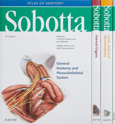 Image of - Sobotta General Anatomy and Musculoskeletal System | Atlas of Anatomy | - 16th Edition
