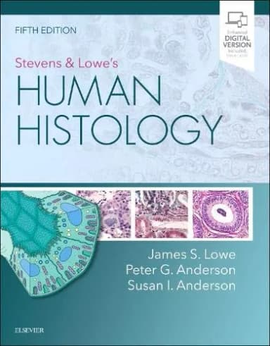 Image of - Stevens and Lowe's Human Histology - 5th Edition