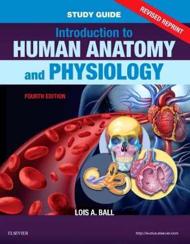 Image of - Study Guide for Introduction to Human Anatomy and Physiology - Revised Reprints -4E
