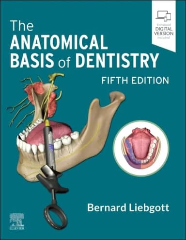 Image of - The Anatomical Basis of Dentistry - 5E