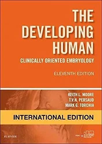 Image of - The Developing Human-11ED