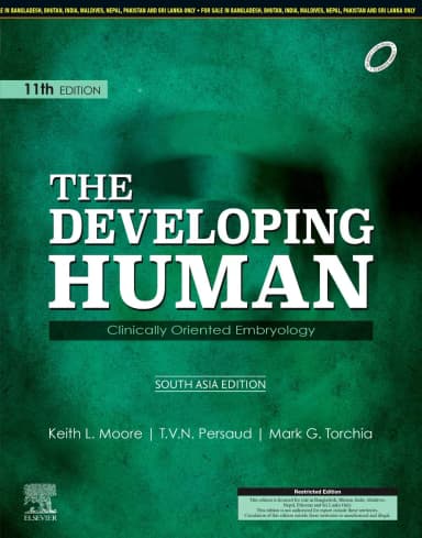 Image of - The Developing Human: Clinically Oriented Embryology - 11E