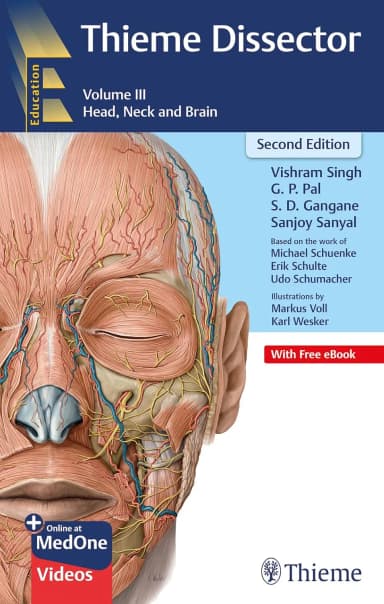 Image of - Thieme Dissector Head, Neck and Brain Volume 3 2nd Edition