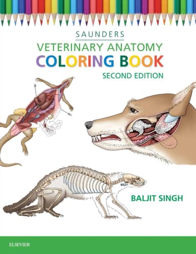 Image of - Saunders Veterinary Anatomy Coloring Book - 2E