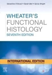 Image of - Wheater's Functional Histology (IE) - 7E