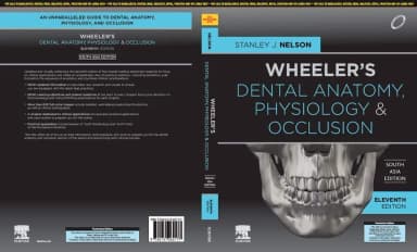 Image of - Wheelers Dental Anatomy, Physiology and Occlusion (SAE) - 2E