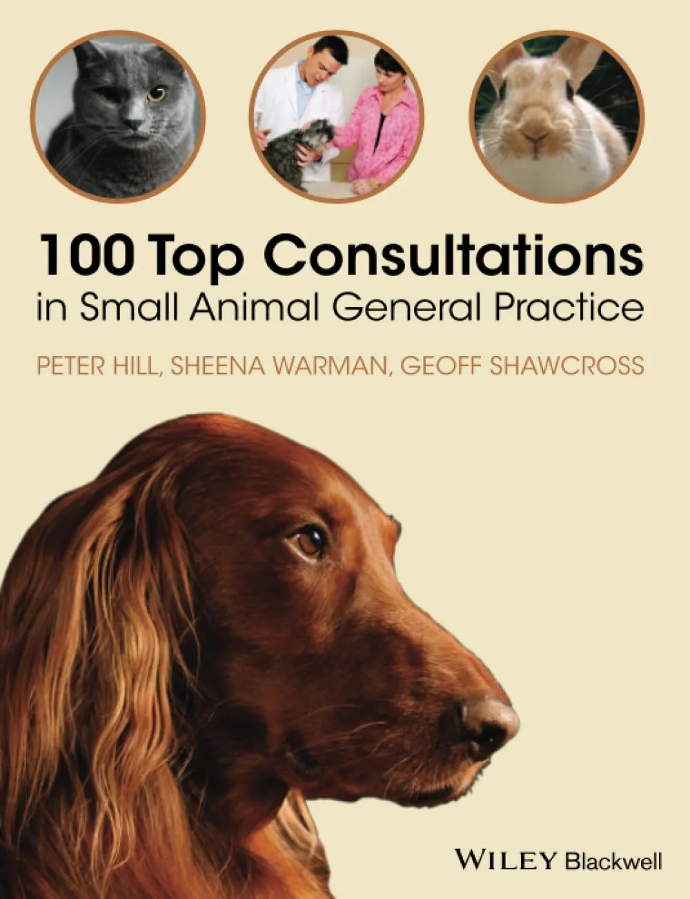 100 Top Consultations in Small Animal General Practice | Paperback