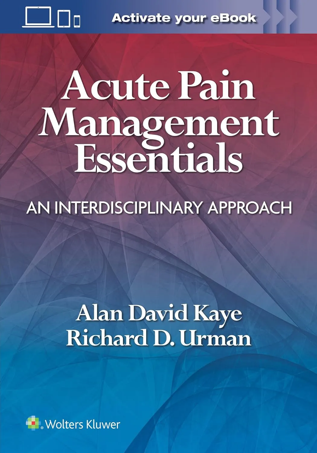 Acute Pain Management Essentials An Interdisciplinary Approach With Access Code | Paperback
