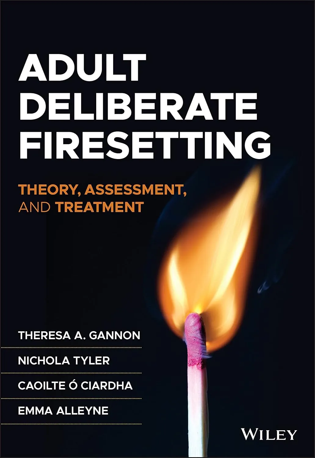 Adult Deliberate Firesetting Theory Assessment And Treatment | Paperback