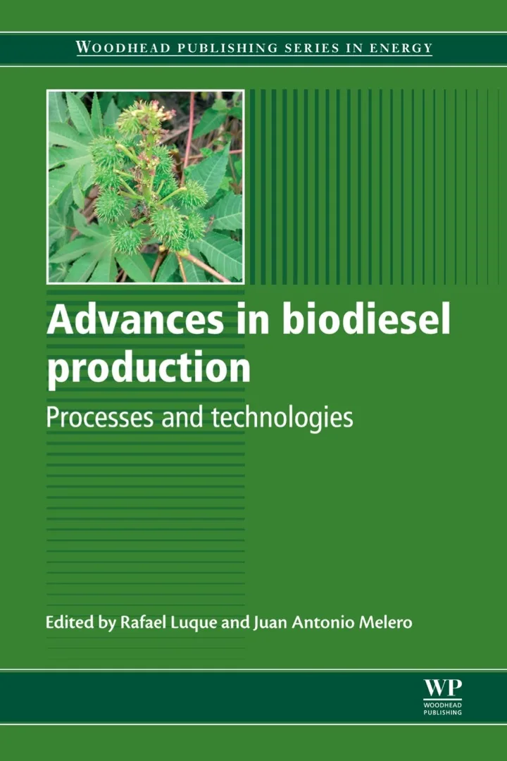 Advances in Biodiesel Production Processes and Technologies | Hardcover