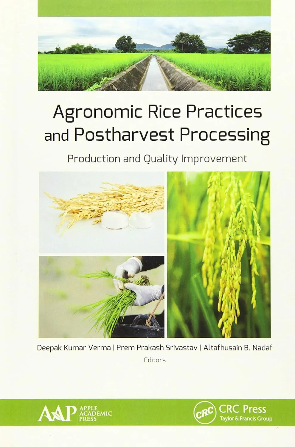 Agronomic Rice Practices and Postharvest Processing Production and Quality Improvement | Hardcover