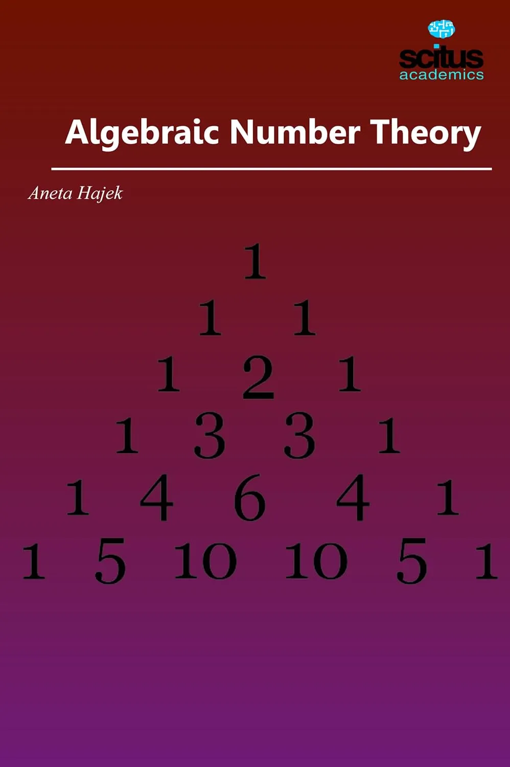 Algebraic Number Theory | Hardcover