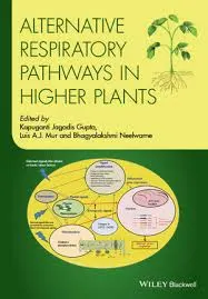 Alternative Respiratory Pathways in Higher Plants | Hardcover