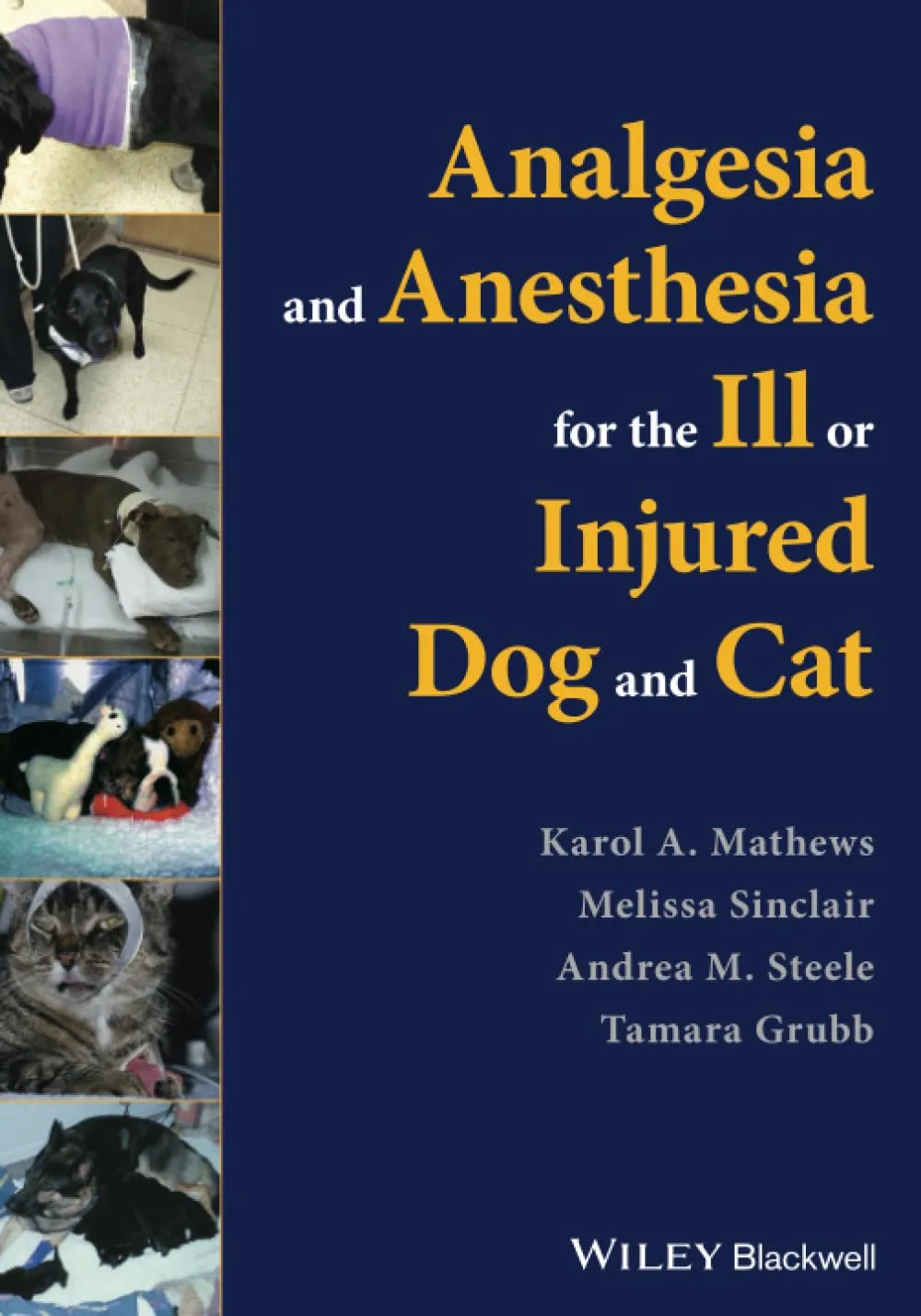 Analgesia and Anesthesia for the ill or Injured Dog and Cat | Paperback