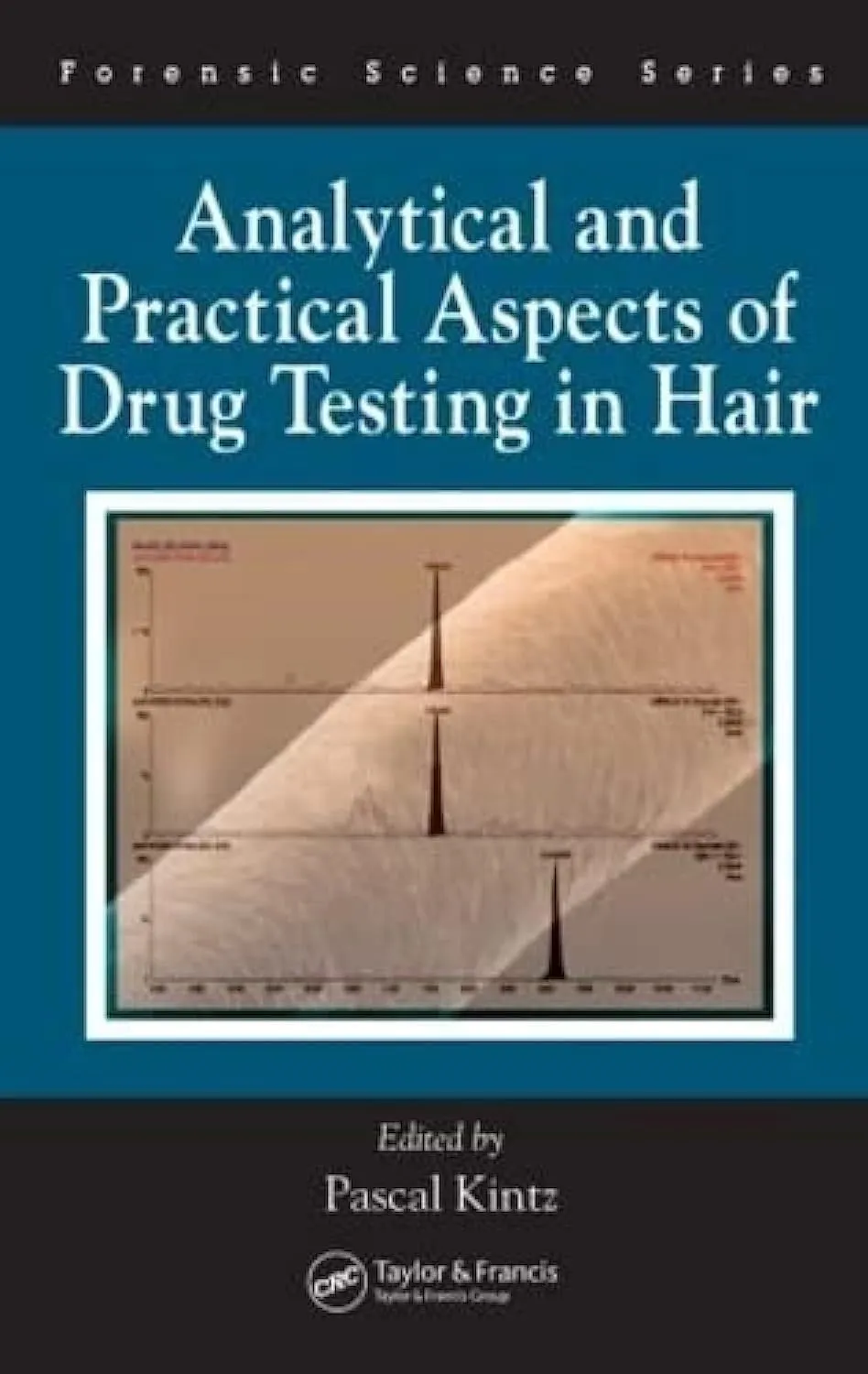Analytical and Practical Aspects of Drug Testing in Hair | Hardcover
