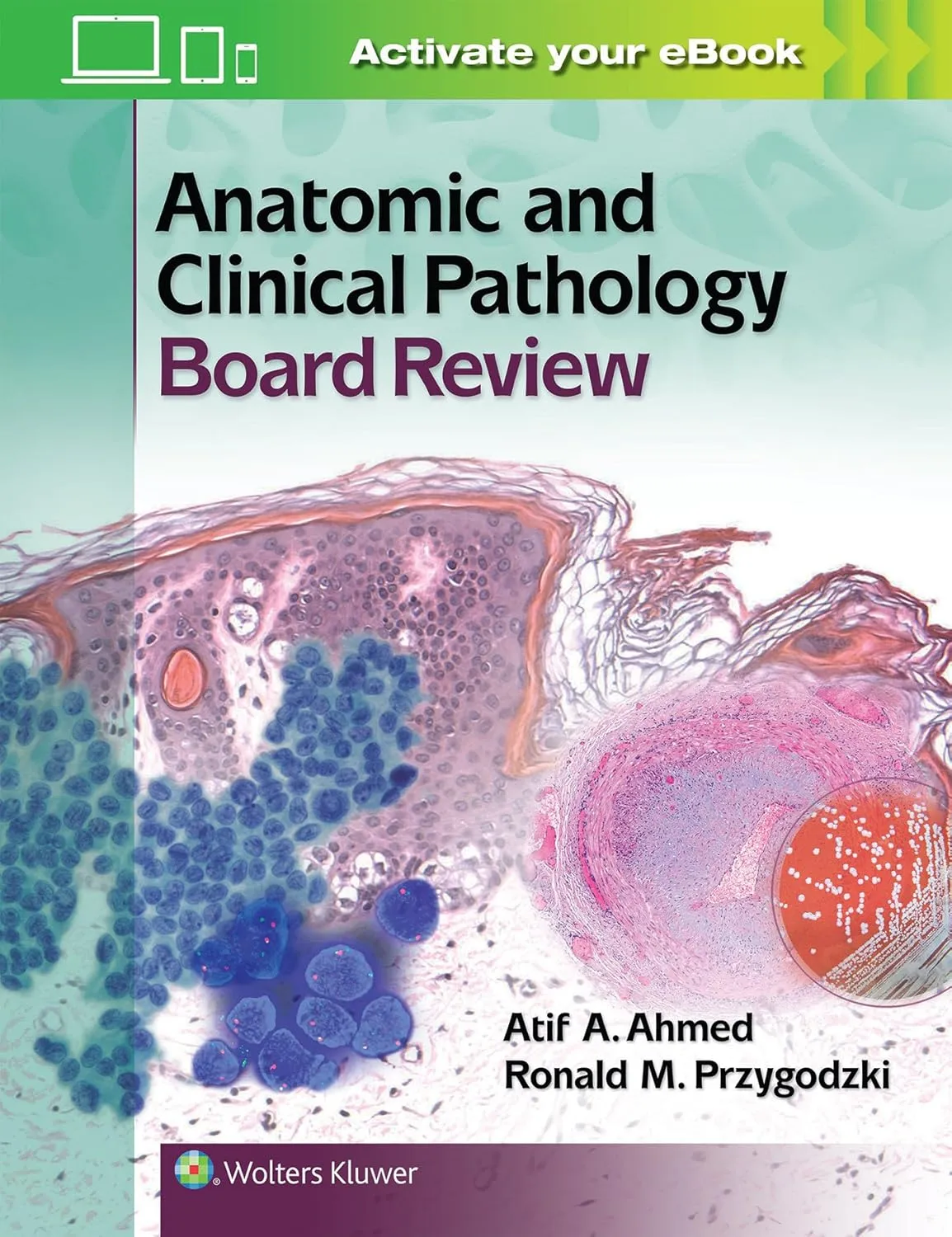 Anatomic and Clinical Pathology Board Review | Paperback