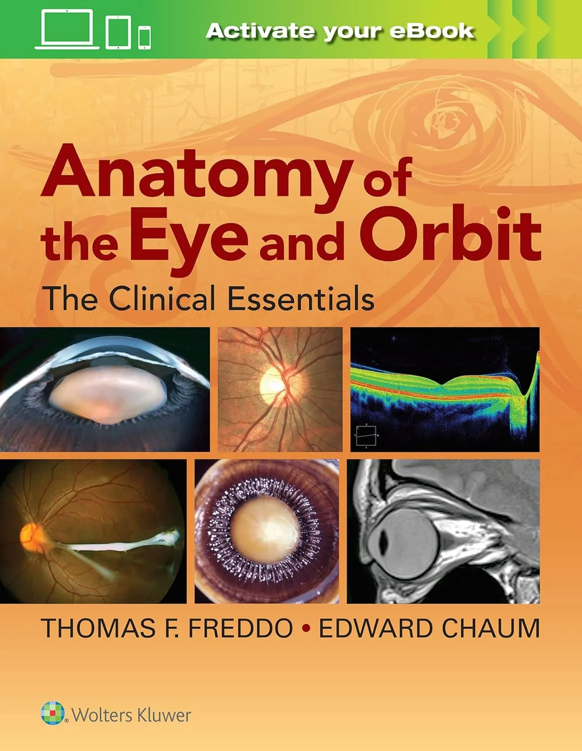Anatomy of the Eye and Orbit The Clinical Essentials | Hardcover