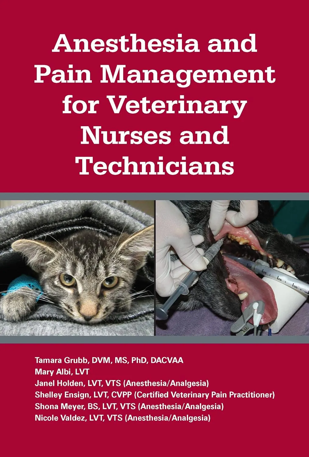 Anesthesia And Pain Management For Veterinary Nurses And Technicians | Paperback