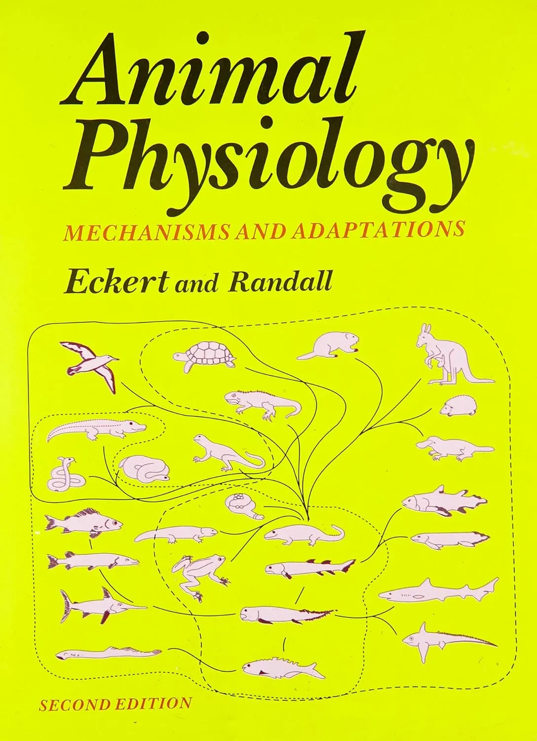 Animal Physiology Mechanisms and Adaptations | 2nd Edition | Hardcover