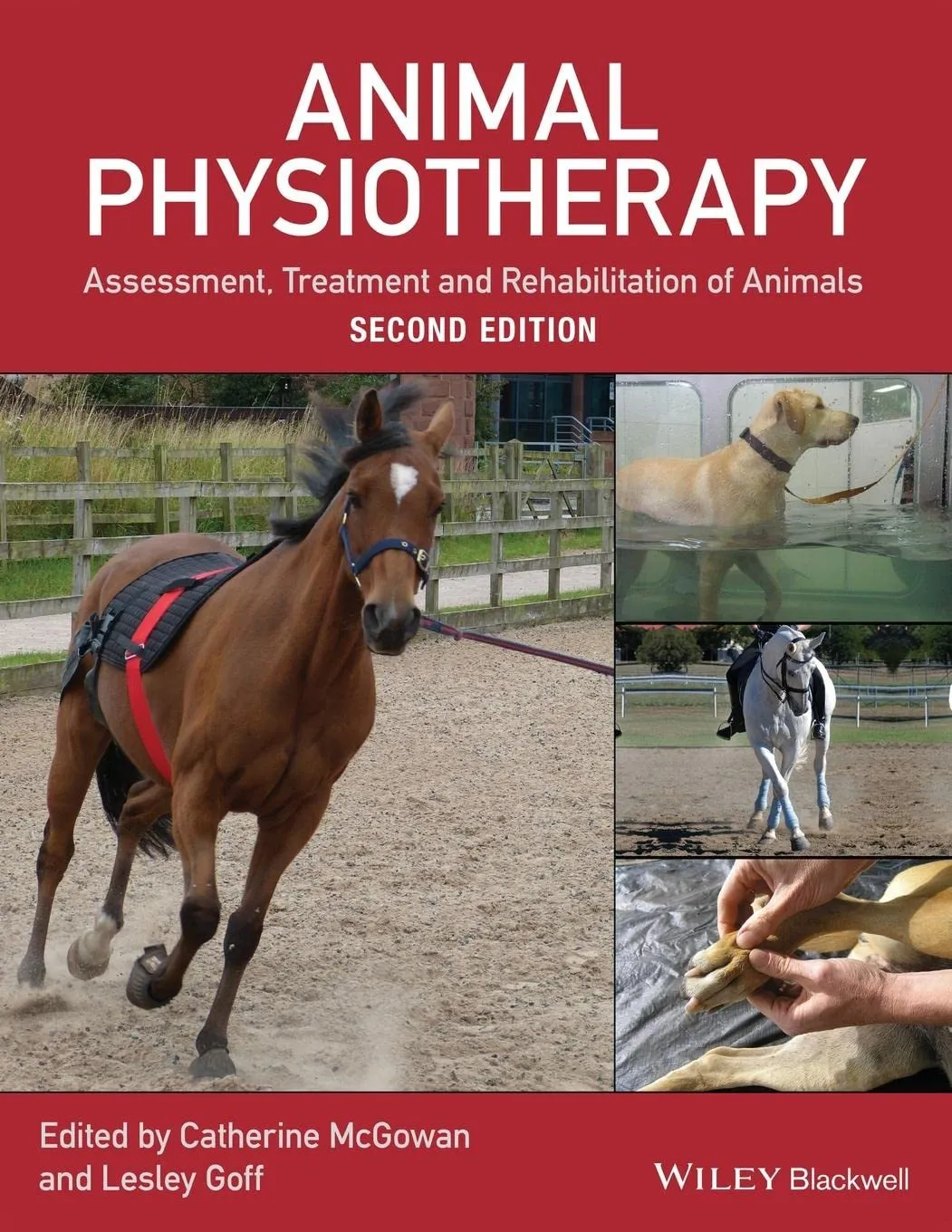 Animal Physiotherapy Assessment | Treatment and Rehabilitation of Animals | 2nd Edition | Paperback