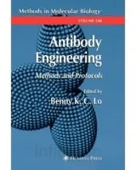 Antibody Engineering Methods and Protocols