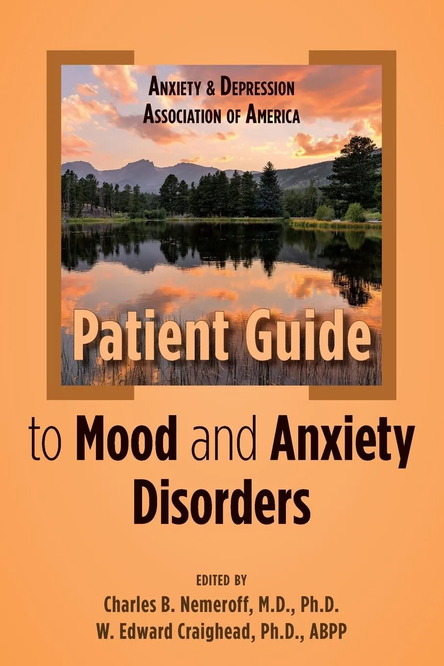 Anxiety And Depression Association Of America Patient Guide To Mood And Anxiety Disorders | Paperback