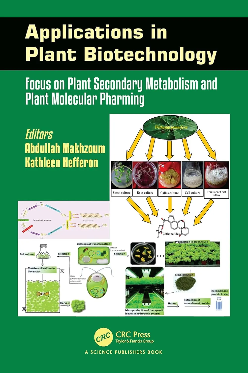 Applications In Plant Biotechnology Focus On Plant Secondary Metabolism And Plant Molecular Pharming | Hardcover