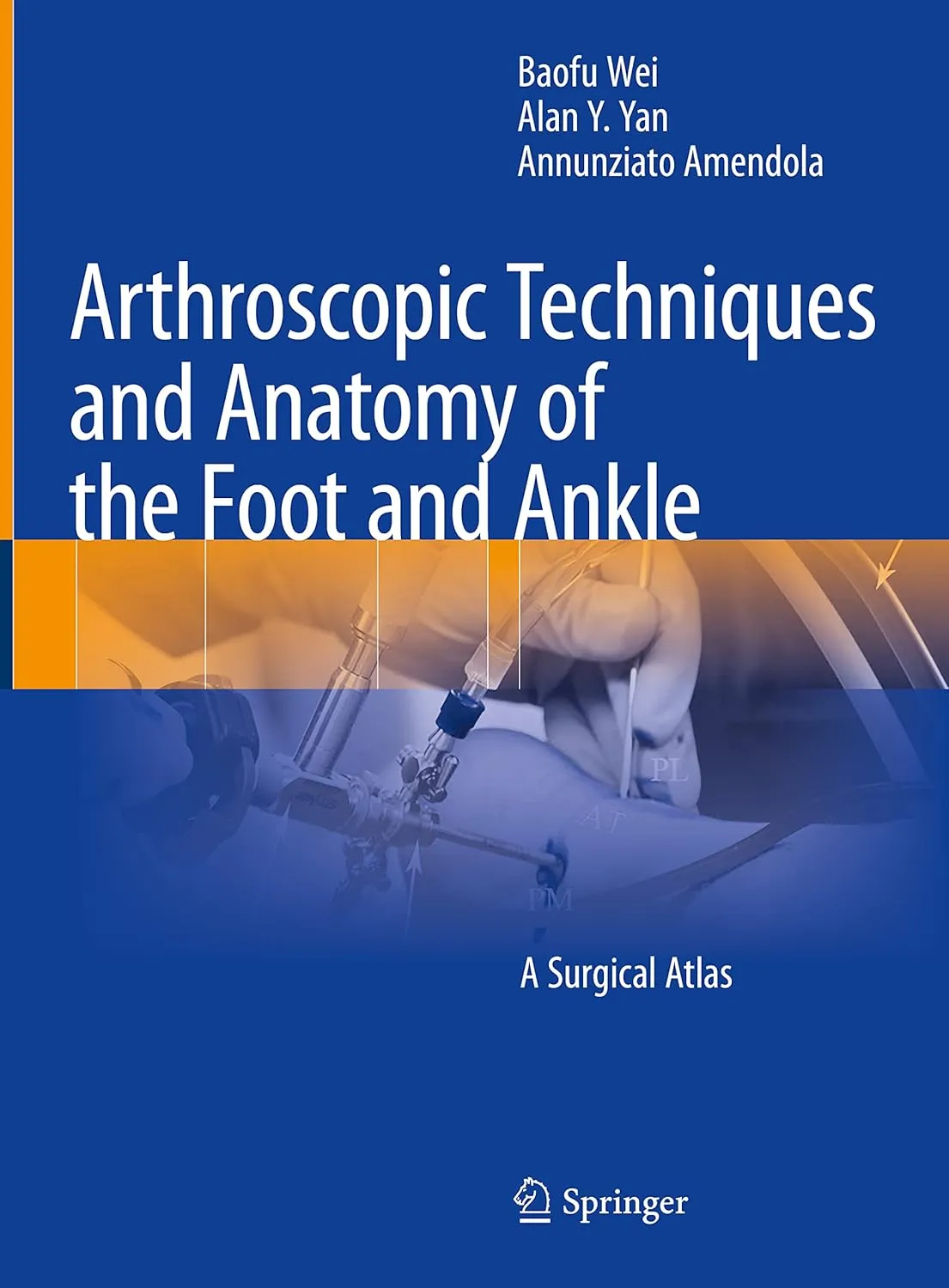 Arthroscopic Techniques And Anatomy Of The Foot And Ankle A Surgical Atlas | Hardcover