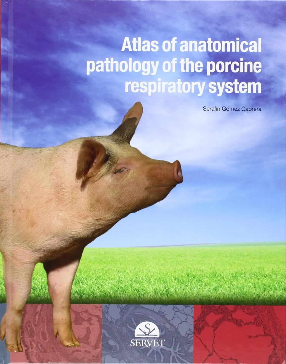 Atlas of Anatomical Pathology of the Porcine Respiratory System | Hardcover