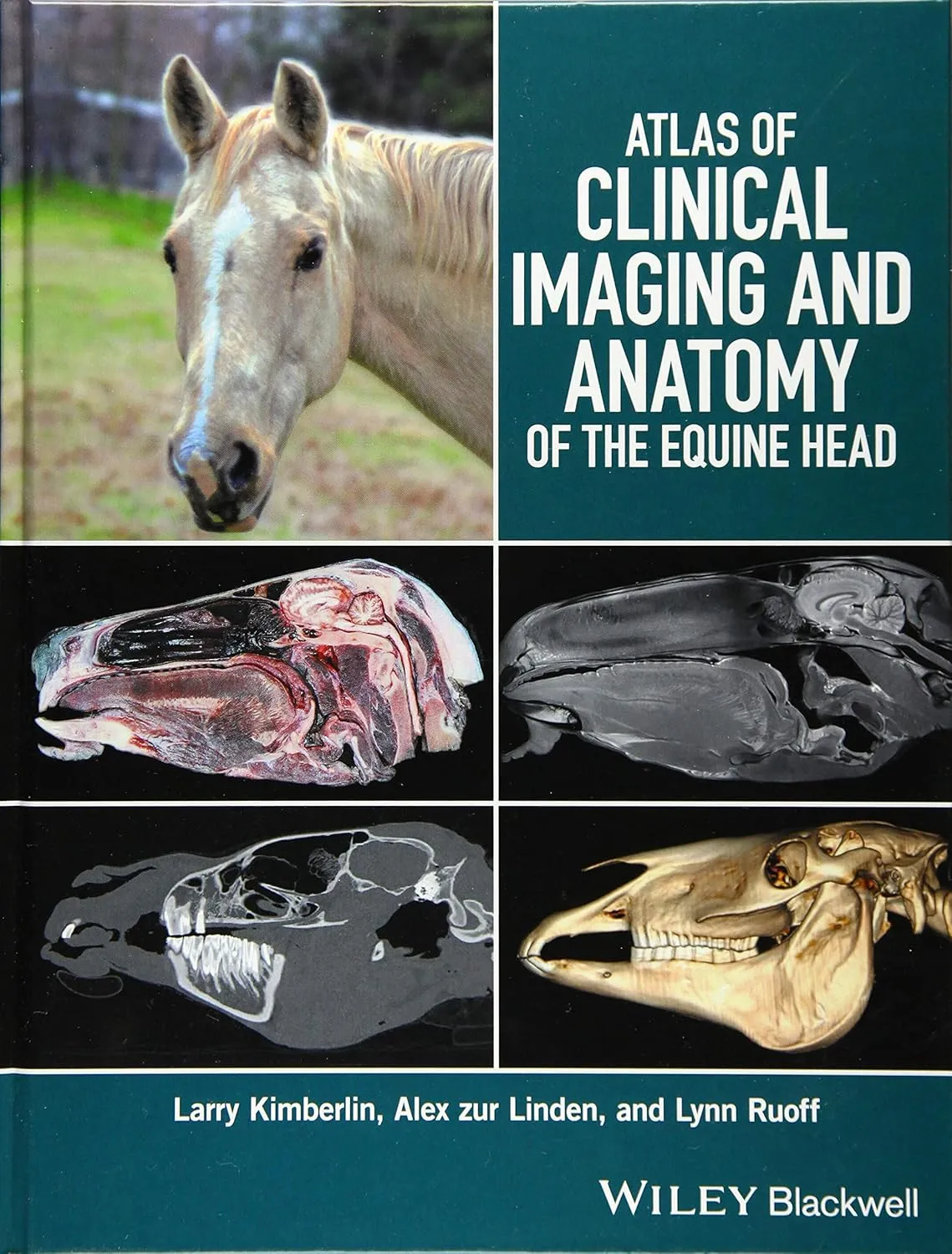 Atlas of Clinical Imaging and Anatomy of the Equine Head | Hardcover