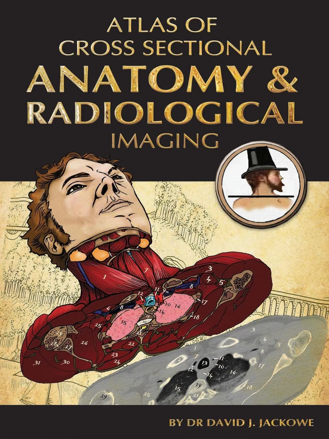 Atlas of Cross Sectional Anatomy and Radiological Imaging | Paperback