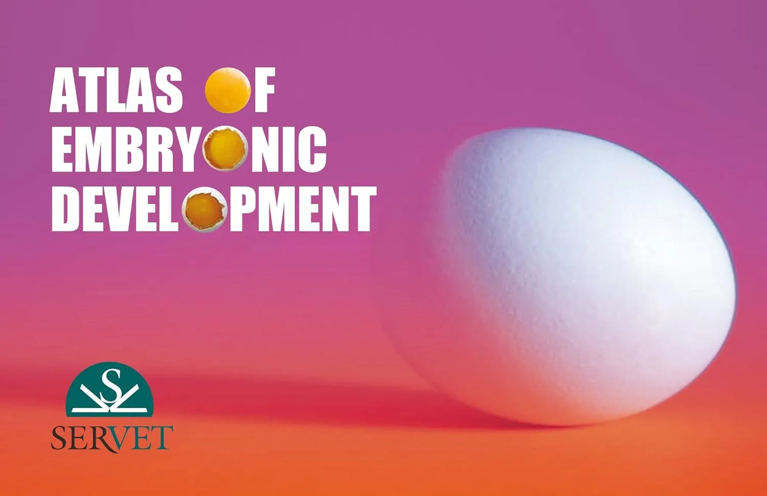 Atlas of Embryonic Development | Paperback