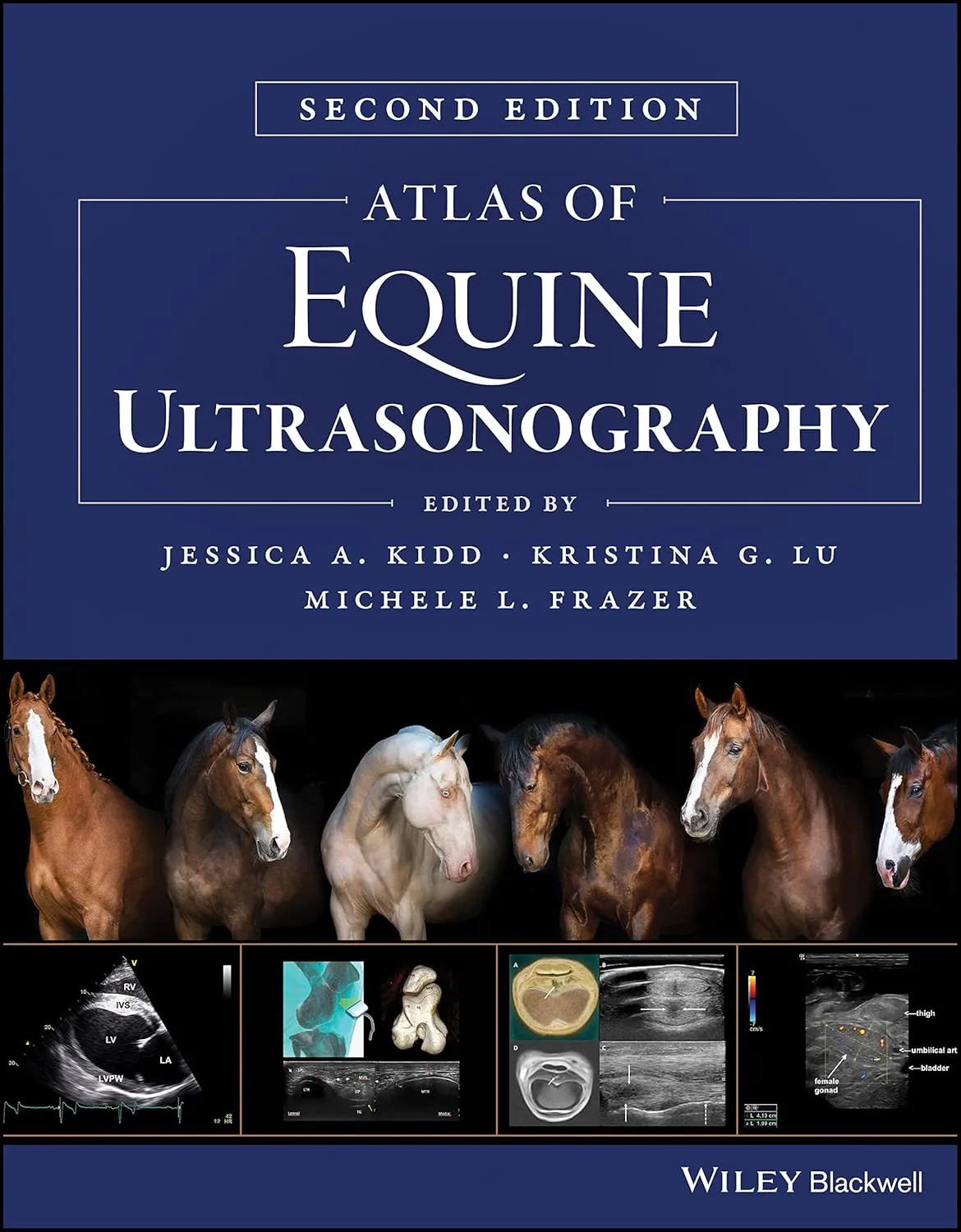 Atlas Of Equine Ultrasonography 2nd Edition | Hardcover