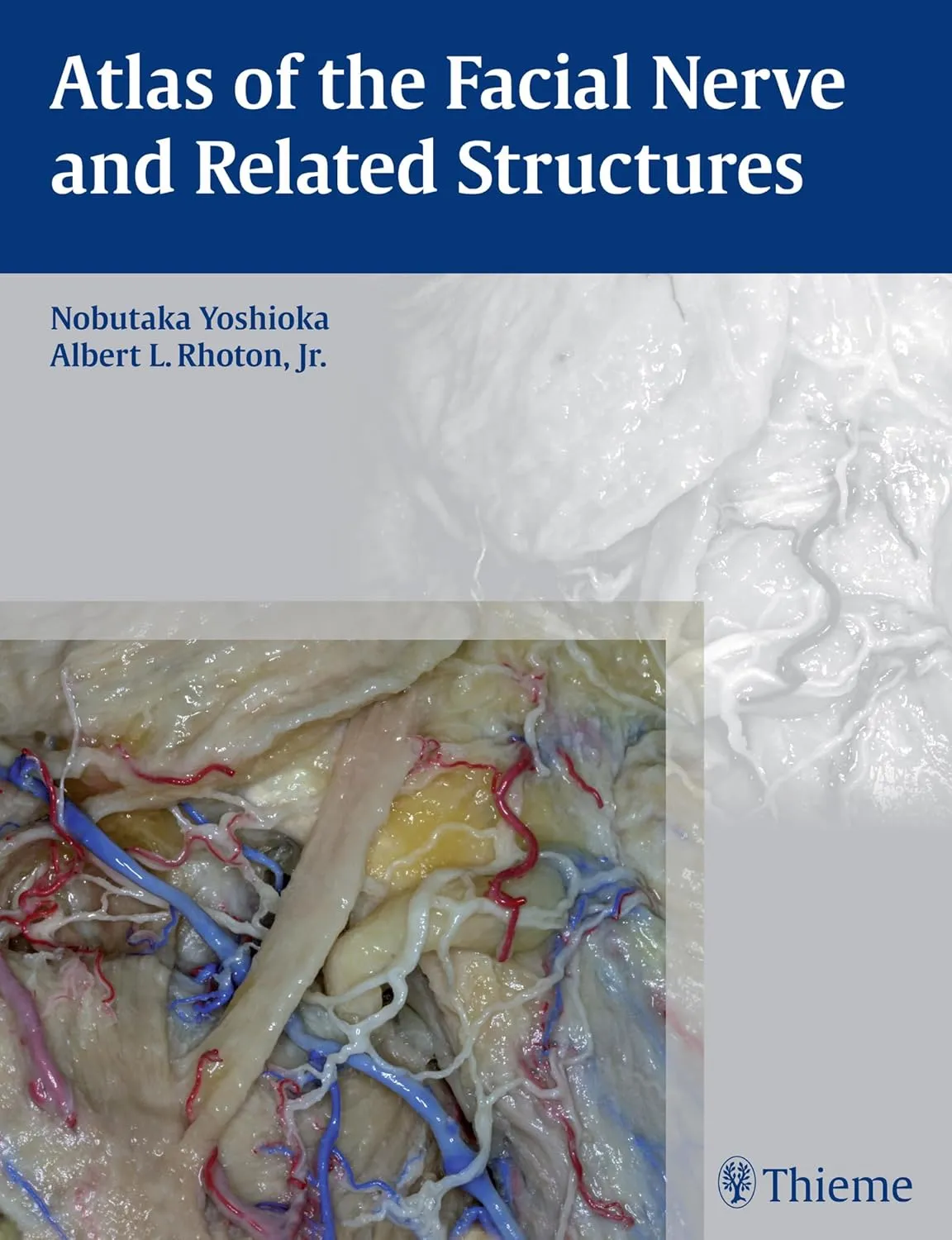 Atlas of the Facial Nerve and Related Structures | Hardcover