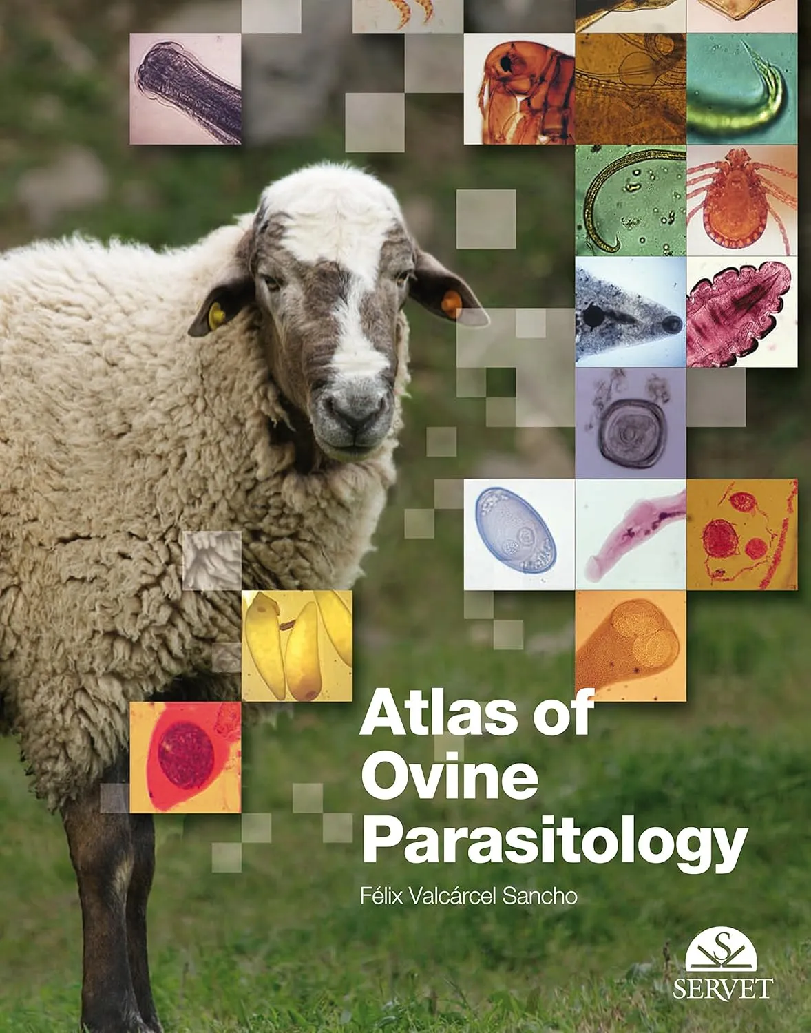 Atlas of Ovine Parasitology | Hardcover