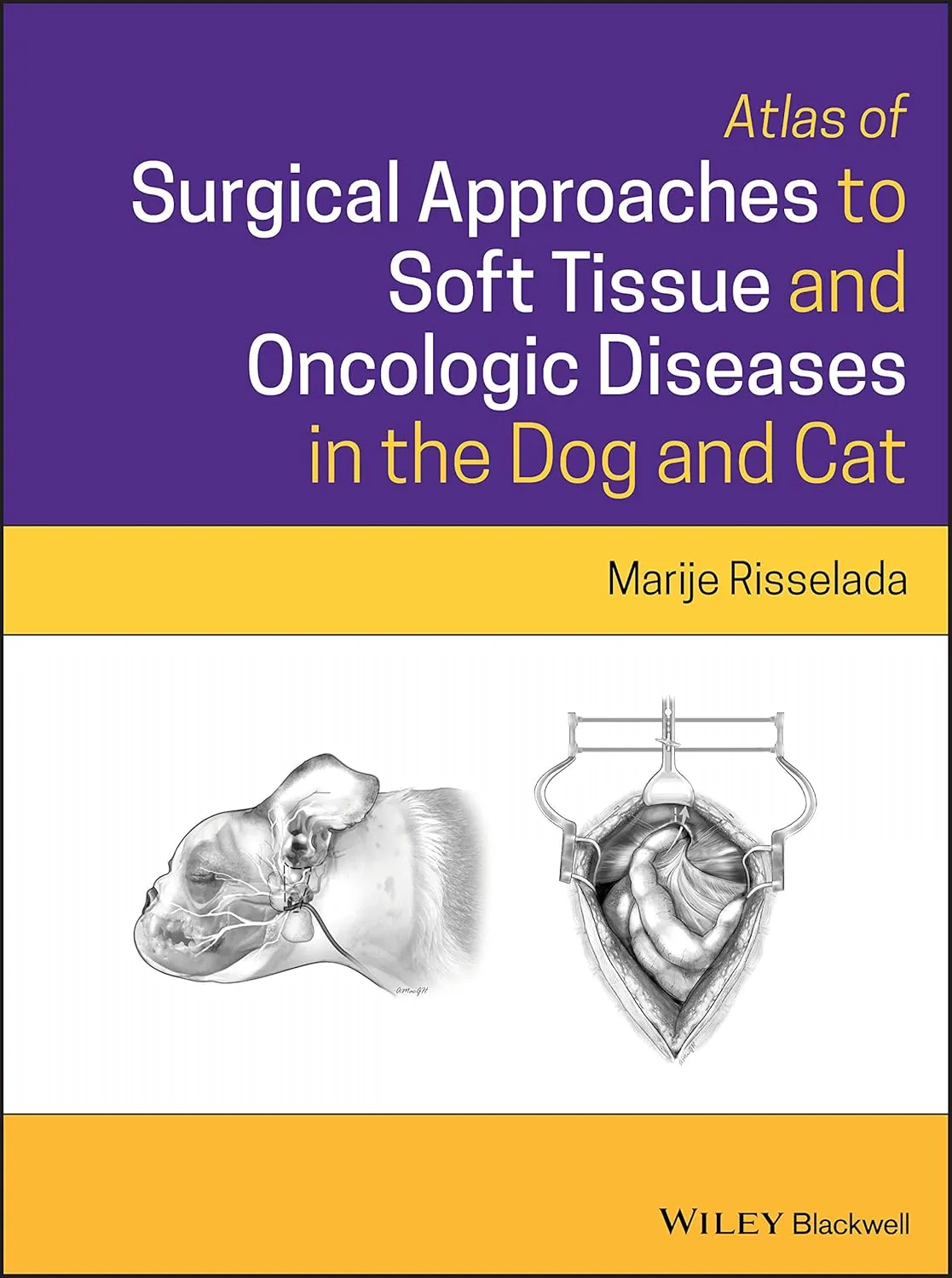 Atlas Of Surgical Approaches To Soft Tissue And Oncologic Diseases In The Dog And Cat | Hardcover