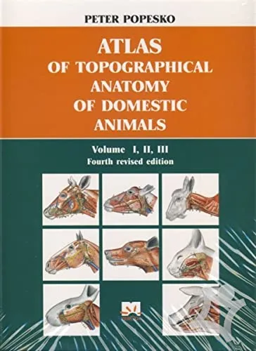 Atlas of Topographical Anatomy of Domestic Animals | Volume 1 | 2 | 3 (in Single Volume) | 4th Edition | Hardcover